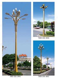 中杆灯-5